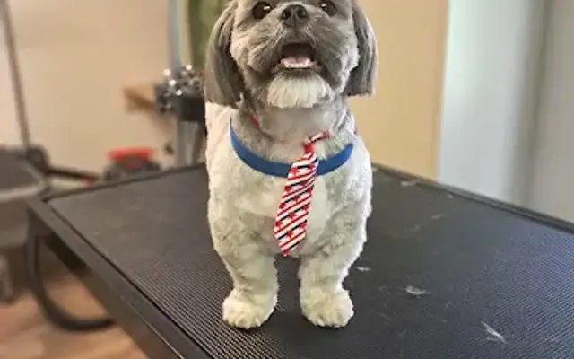 Ruff Cuts Pet Grooming LLC in Autryville, NC