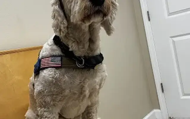 Jubilee Pet Hospital in Daphne, AL