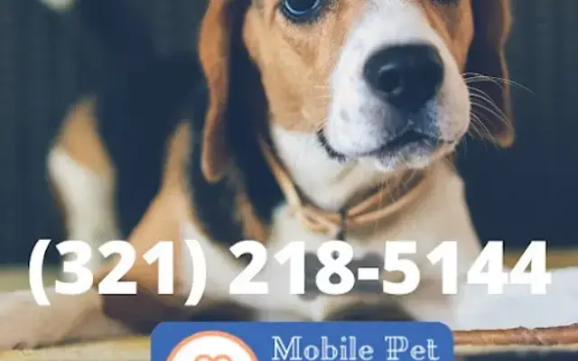 Mobile Pet Grooming Palm Bay in Palm Bay, FL