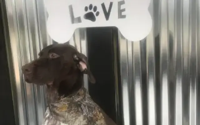 The Grooming Co. in Greenville, AL
