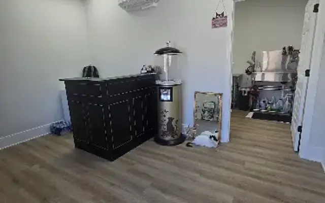 Chatty Cats in Merrillville, IN