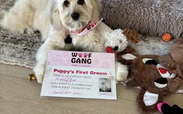 Woof Gang Bakery & Grooming Chino Hills in Chino Hills, CA