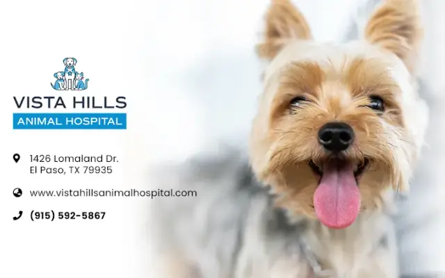 Vista Hills Animal Hospital in El Paso, TX