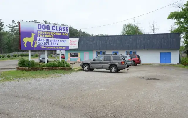 Dog Class Pro Dog Training in Springfield, IL