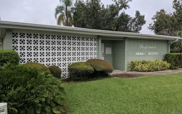 Driftwood Animal Hospital in Daytona Beach, FL