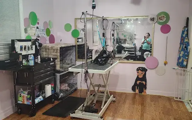 Jennifer the doggy groomer in Benicia, CA