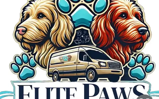 Elite Paws Pet Services in Centerville, OH