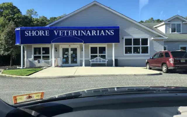 Shore Veterinarians in Egg Harbor Township, NJ