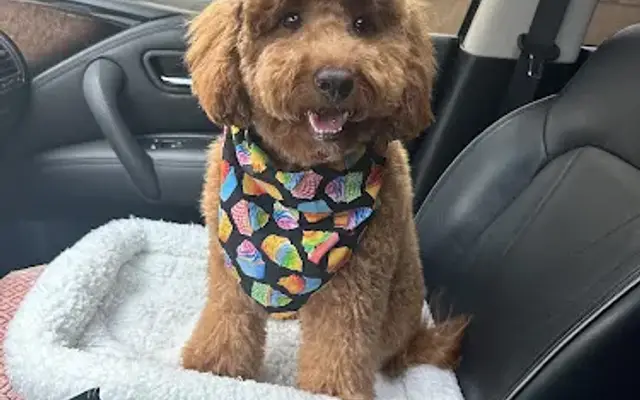 All Paws Veterinary Center in Upper Marlboro, MD