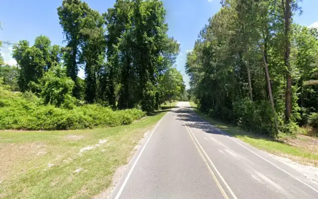 Oodles of Doodles Traveling Pet Grooming-Southern pines in Pinehurst, NC