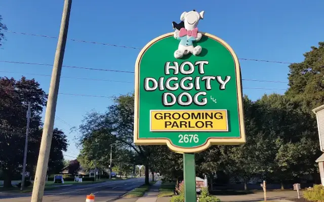 Hot Diggity Dog Grooming Parlor in Hamden, CT