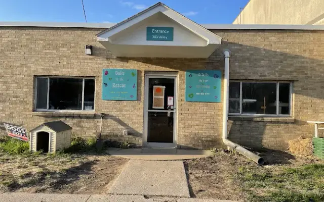 D-Tails Dog and Cat Grooming in Alma, MI