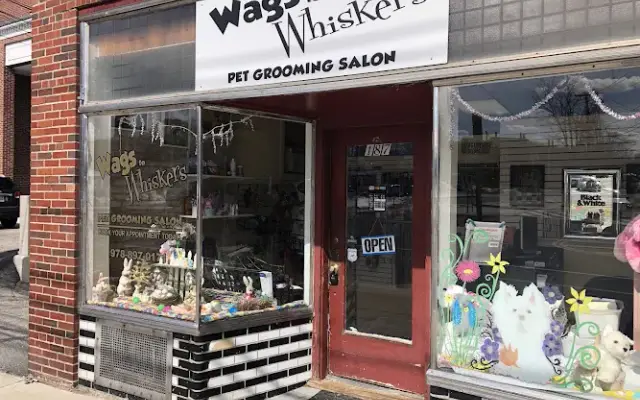 Wags To Whiskers in Maynard, MA