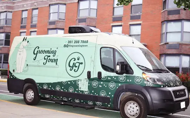 Grooming Town in Brooklyn, NY