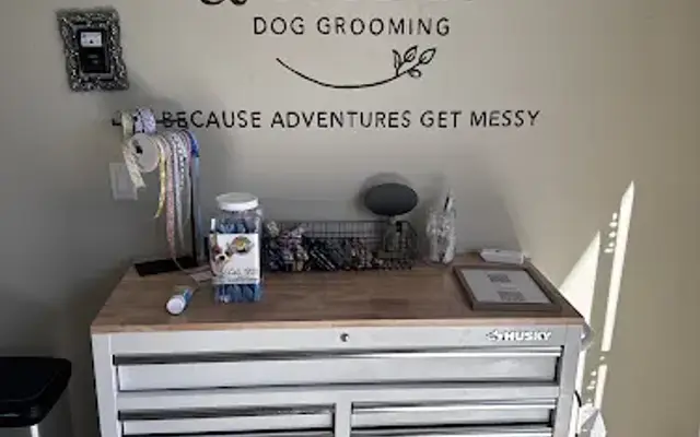 Tails and Trails Dog Grooming in Murrieta, CA