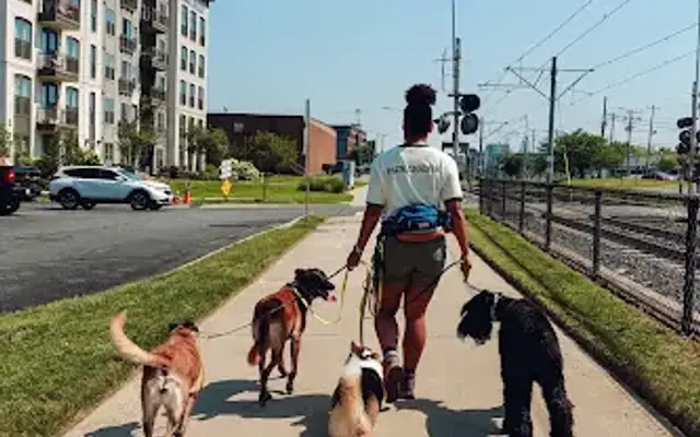 Pup Scouts in Charlotte, NC