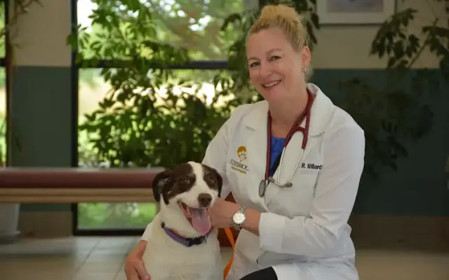 Flossmoor Animal Hospital in Flossmoor, IL