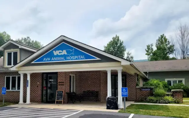 VCA AVH Animal Hospital in Pen Argyl, PA