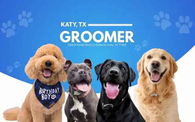 Paw Pals Salon in Katy, TX