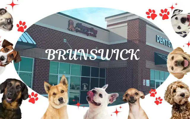 Happy Dog Grooming Salon in Brunswick, MD