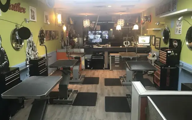 Kelly's Pet Boutique East in East Lansing, MI