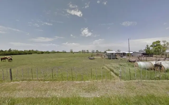 Bella Pooches in Wolfe City, TX