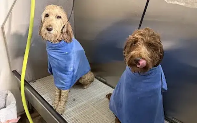 Happy Paws Pet Grooming in Atascadero, CA