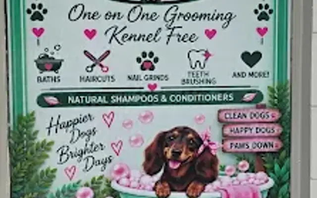 Paws Down Grooming LLC in Auburndale, FL