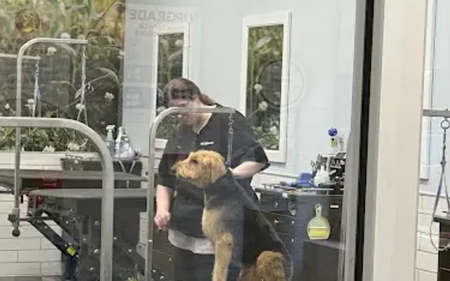 PetSmart Grooming in Gig Harbor, WA