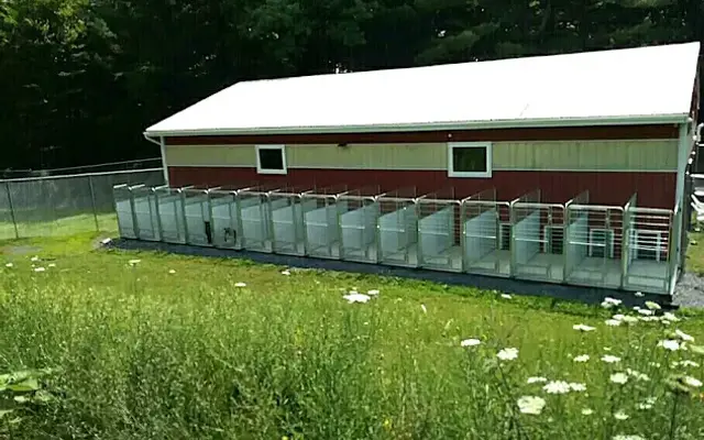 Daisey's Doggie Retreat in Voorheesville, NY