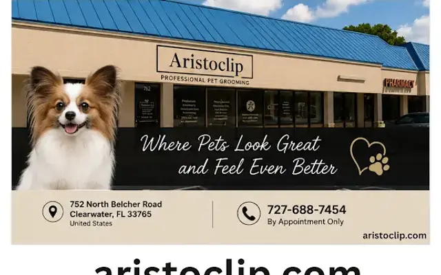 Aristoclip in Clearwater, FL