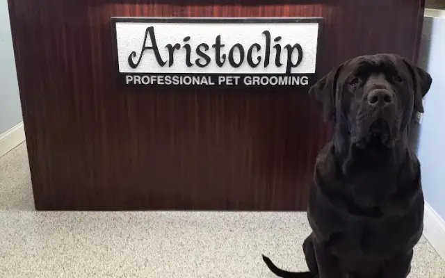 Aristoclip in Clearwater, FL