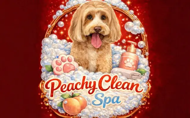 Peachy Clean Spa LLC in Wynnewood, PA