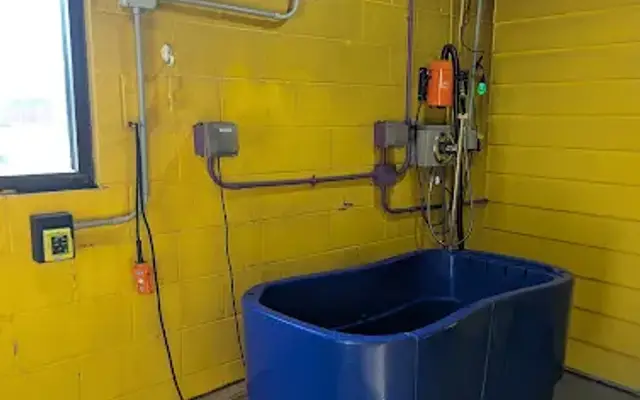 Squeaky's Dog Wash in Raytown, MO