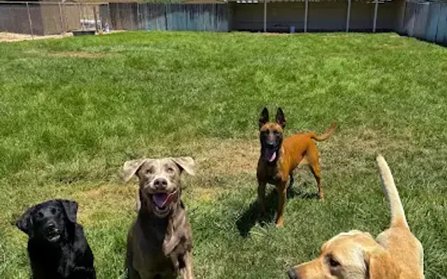 Lucky Dog Pet Resort in Nipomo, CA