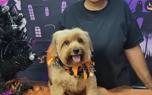 Super Tech Professional Pet Care Services in Marietta, GA