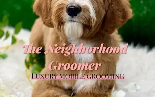 The Neighborhood Groomer in Jacksonville, FL