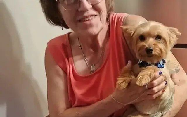 Golden Paws Grooming in Clovis, NM