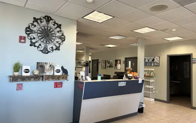 VCA Ashford Animal Hospital in Houston, TX