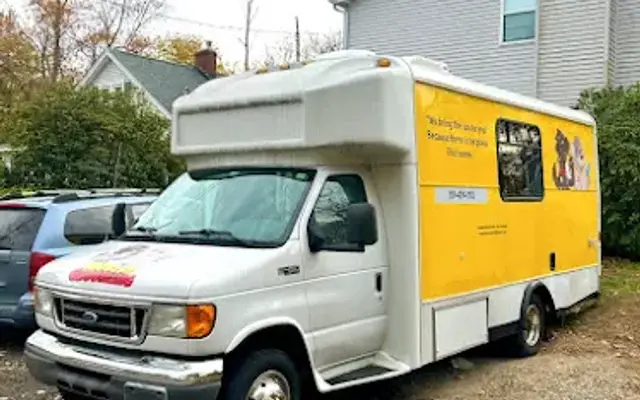 Golden retreat mobile grooming in Coventry, CT