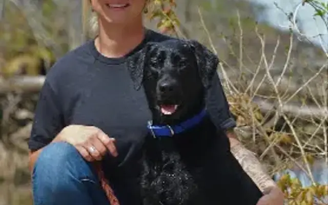 North River Pack Dog Training & Grooming in Solon, ME
