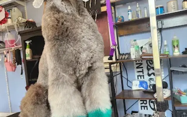 Jessie B's Pet Grooming in Montevallo, AL