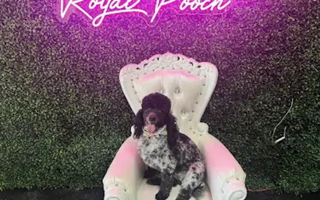 Royal Pooch Dog Grooming in Fulton, MS