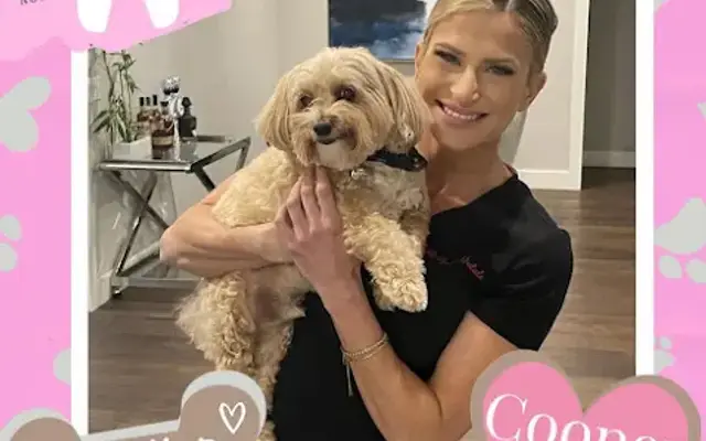 Gentle doggy dentals in Weston, FL