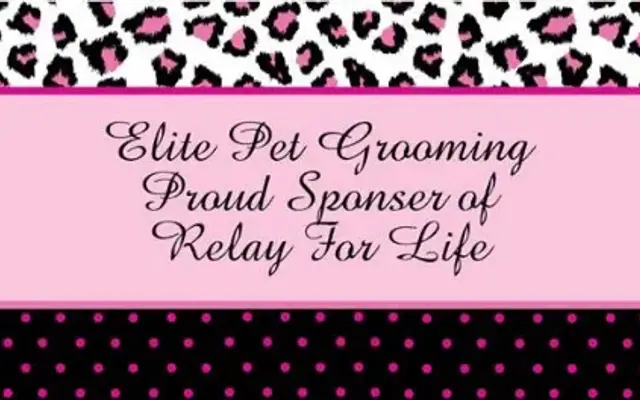 Elite Pet Grooming in Mastic, NY