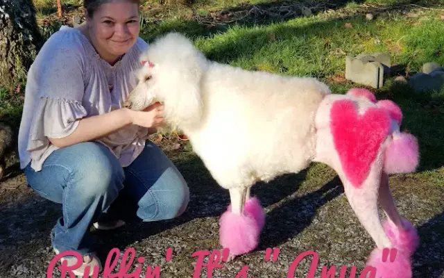 Ruffin' It Grooming in Dayton, TN