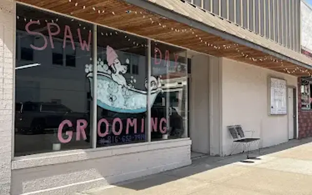 Spaw Day Grooming LLC in Excelsior Springs, MO
