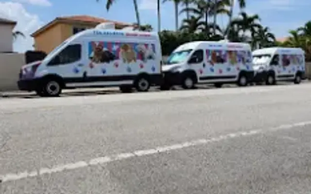 EDUGROOMER in Miami, FL