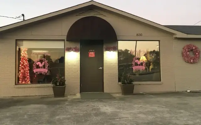 Touch of New York Dog Grooming licensed groomer in Decatur, AL