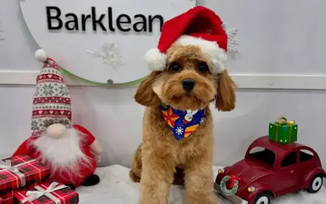 Barklean Mobile Pet Grooming - Palm Beach in Golf, FL